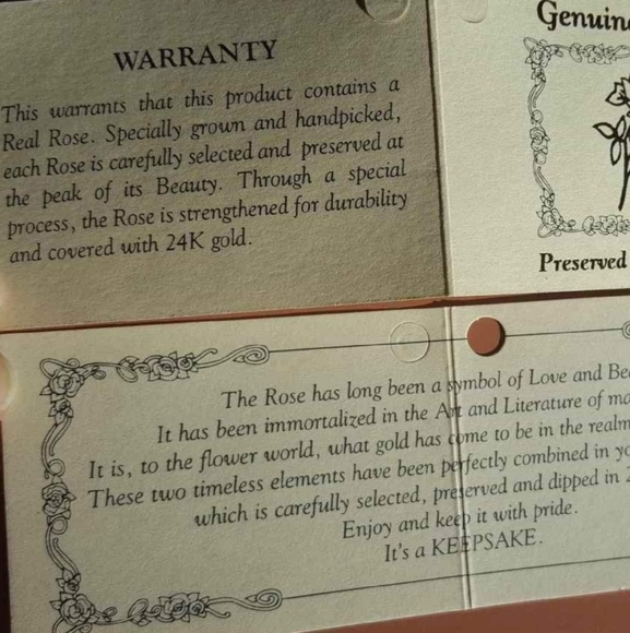 Real 24k Gold Rose - gift or collectable - Picture 4 of 5
